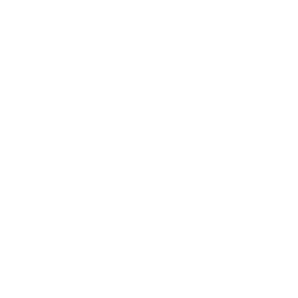Logo Fizaine Family Racing